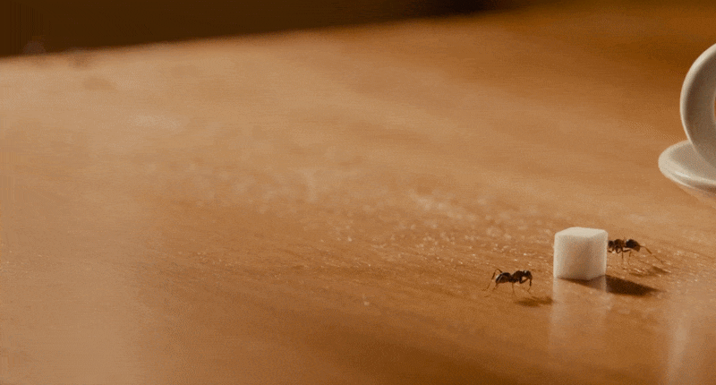 Hope Van Dyne showing off her ant communication skills using EMP (Ant-Man, 2015)