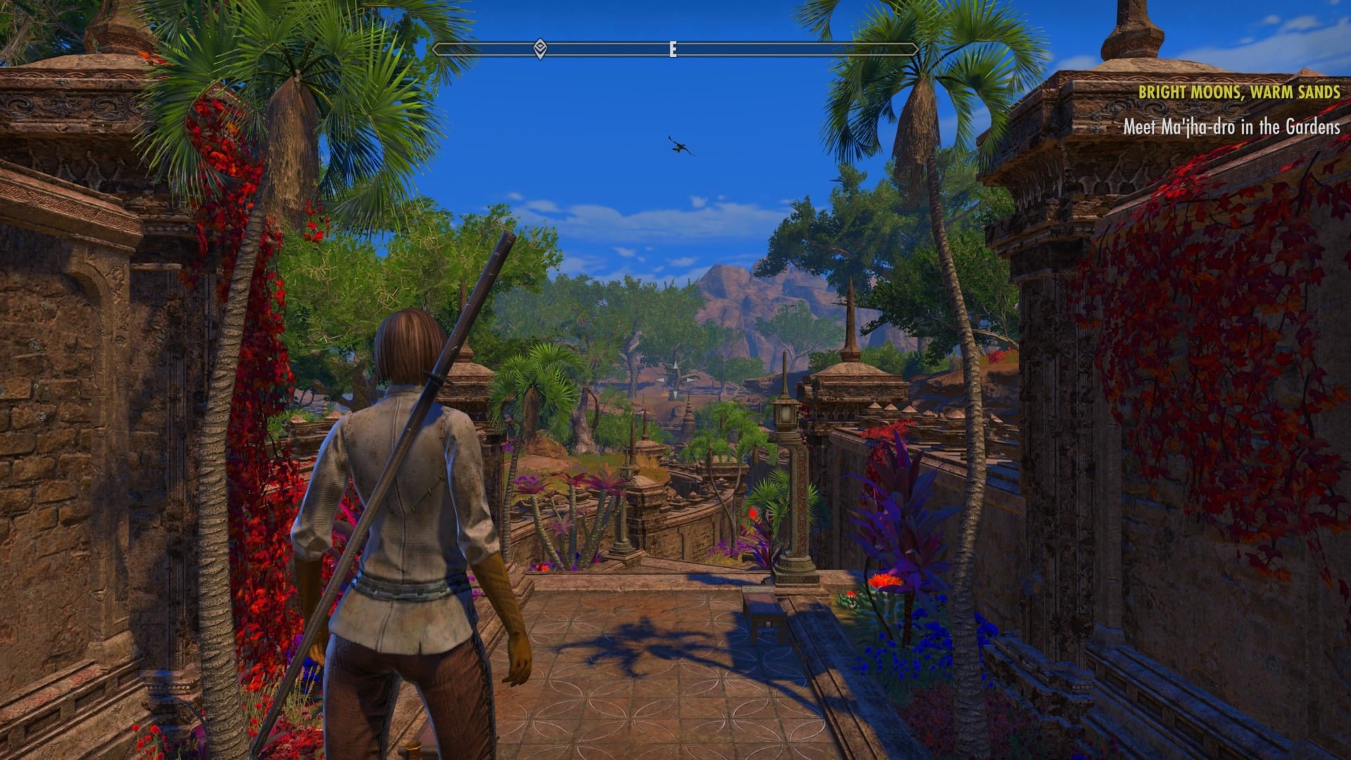 Welcome to Elsweyr.