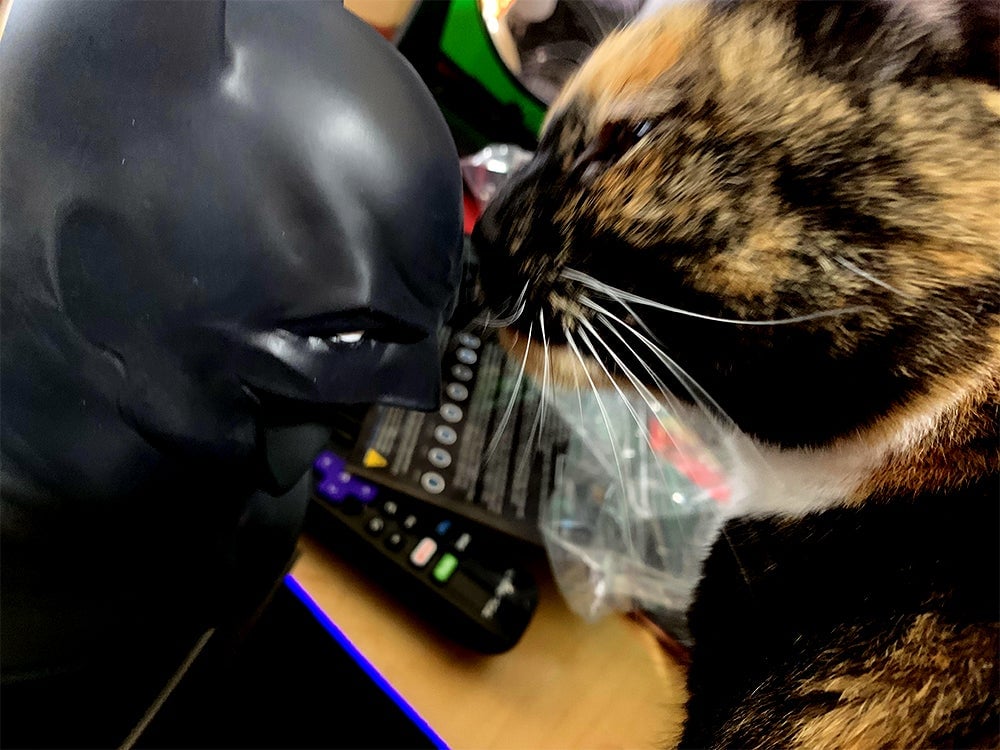 Mind the cat, she’s naturally blurry.