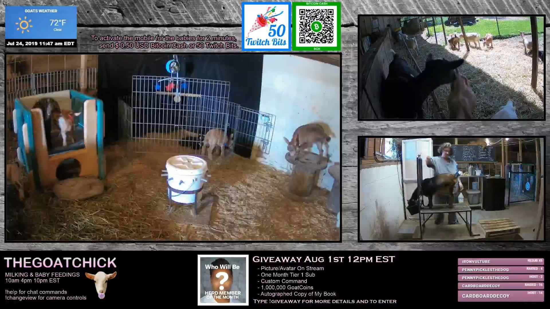 Screenshot: TheGoatChick