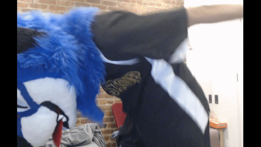 SonicFox does his best Naruto run for charity