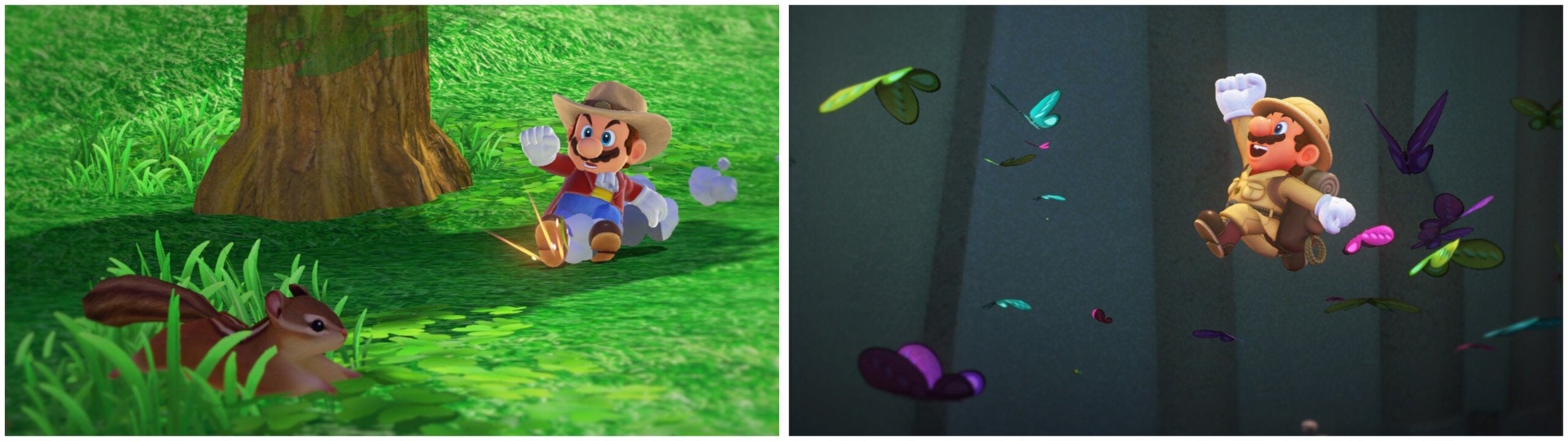 Screenshot: Daniel Cordero