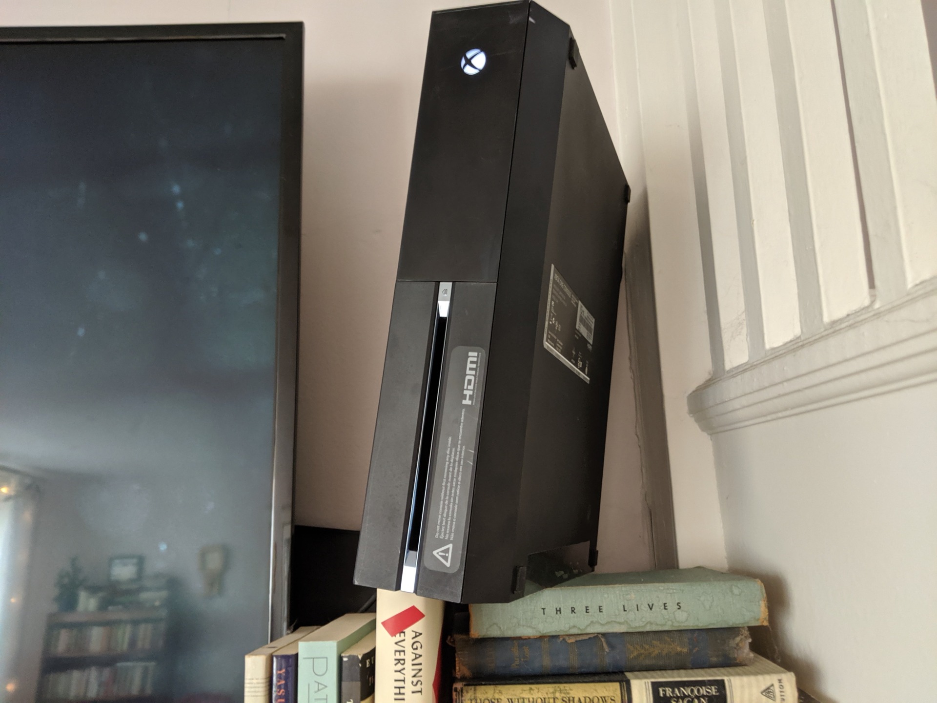 It looks happy there, doesn’t it?