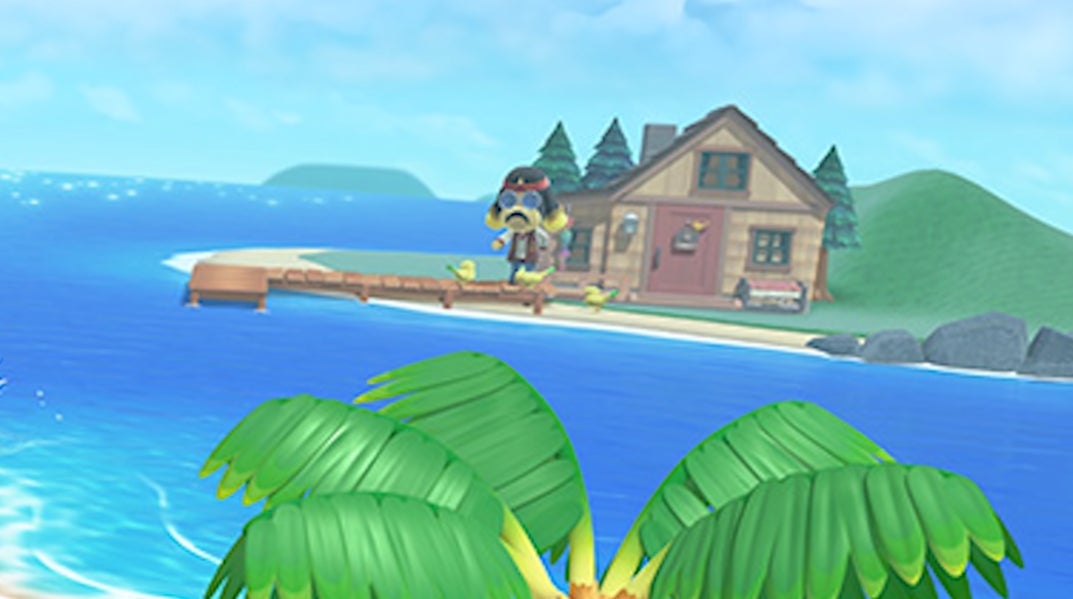 Harvey is back, but does that mean feeding the birds is too?