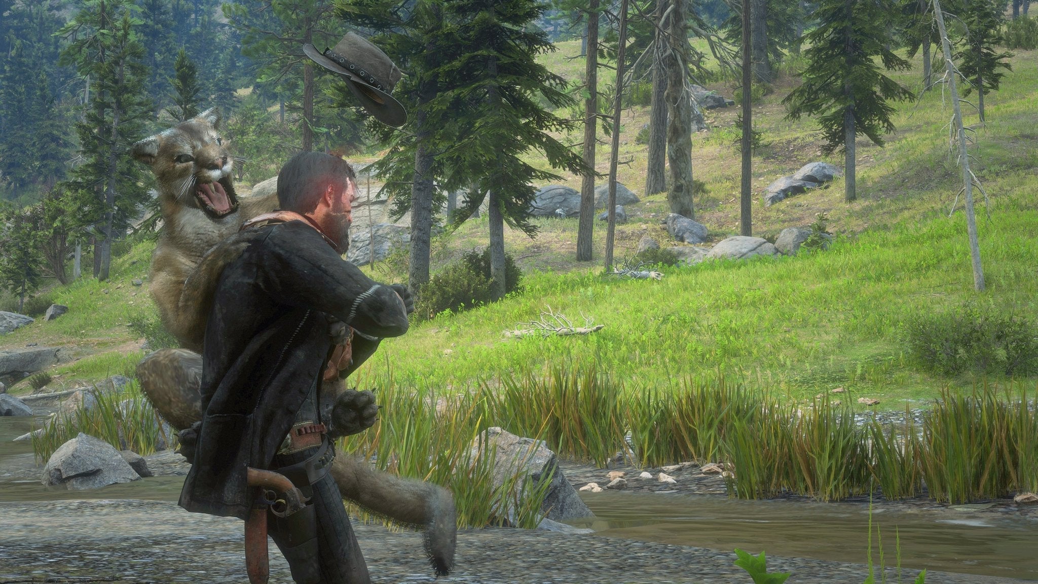 Red Dead Redemption II