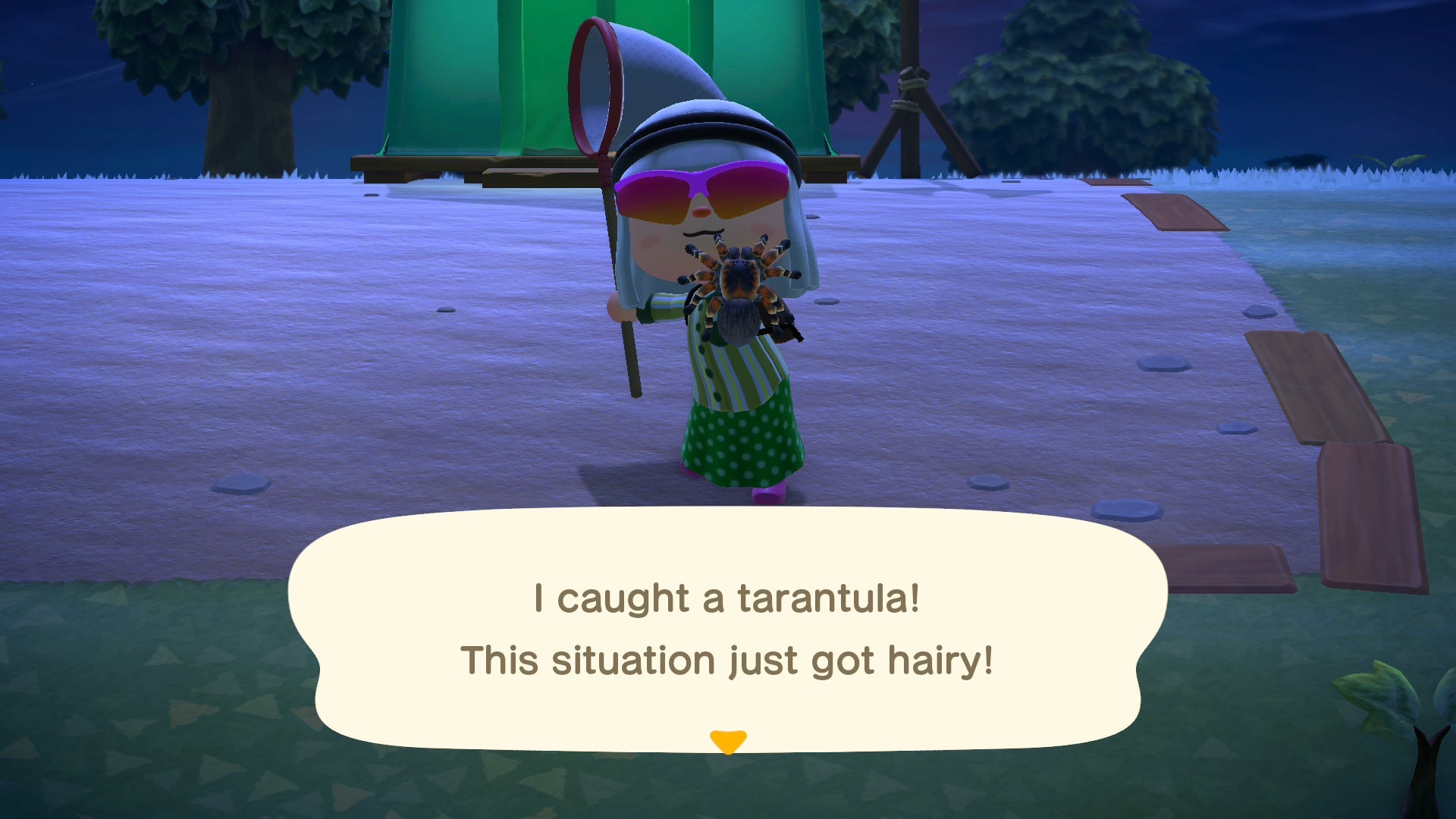 Screenshot: Nintendo