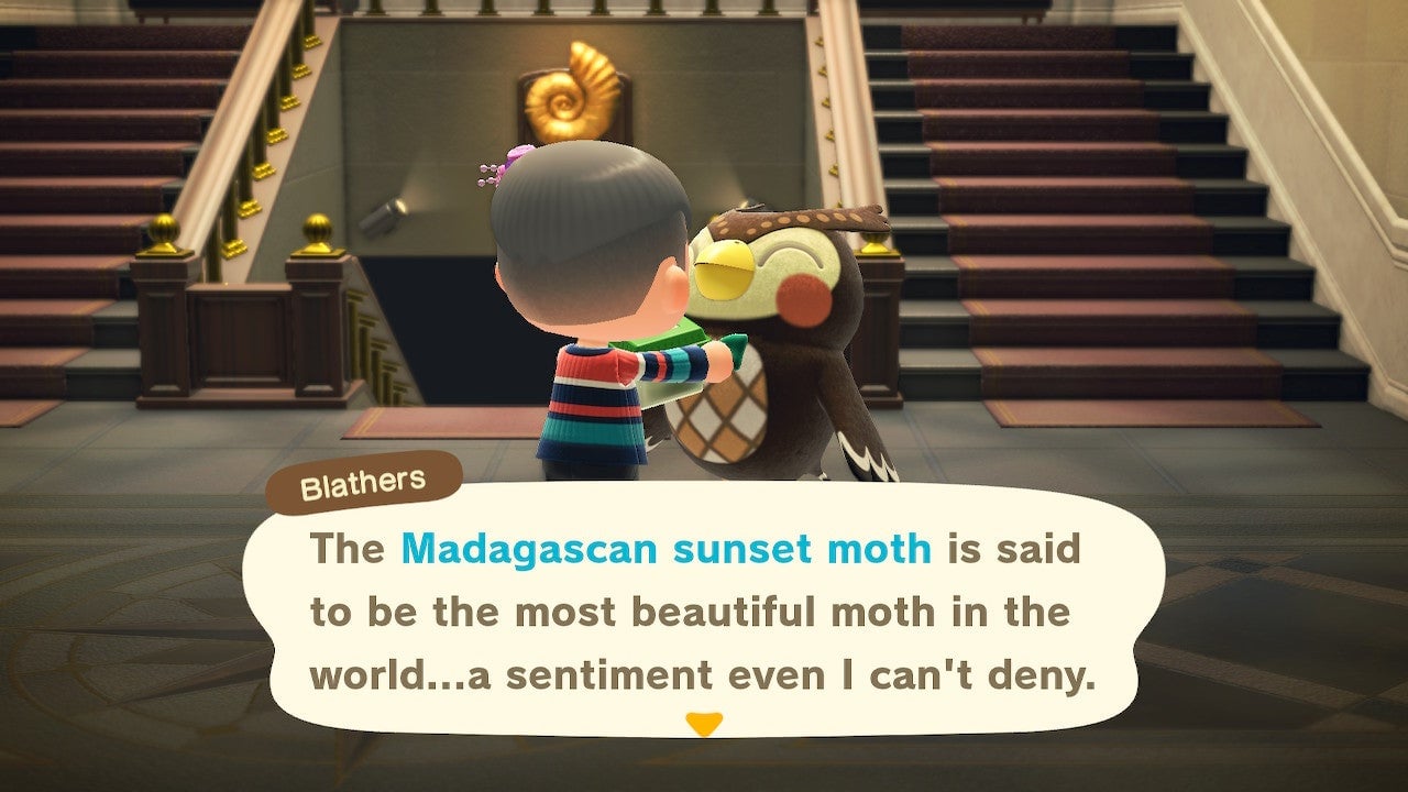 Screenshot: Nintendo