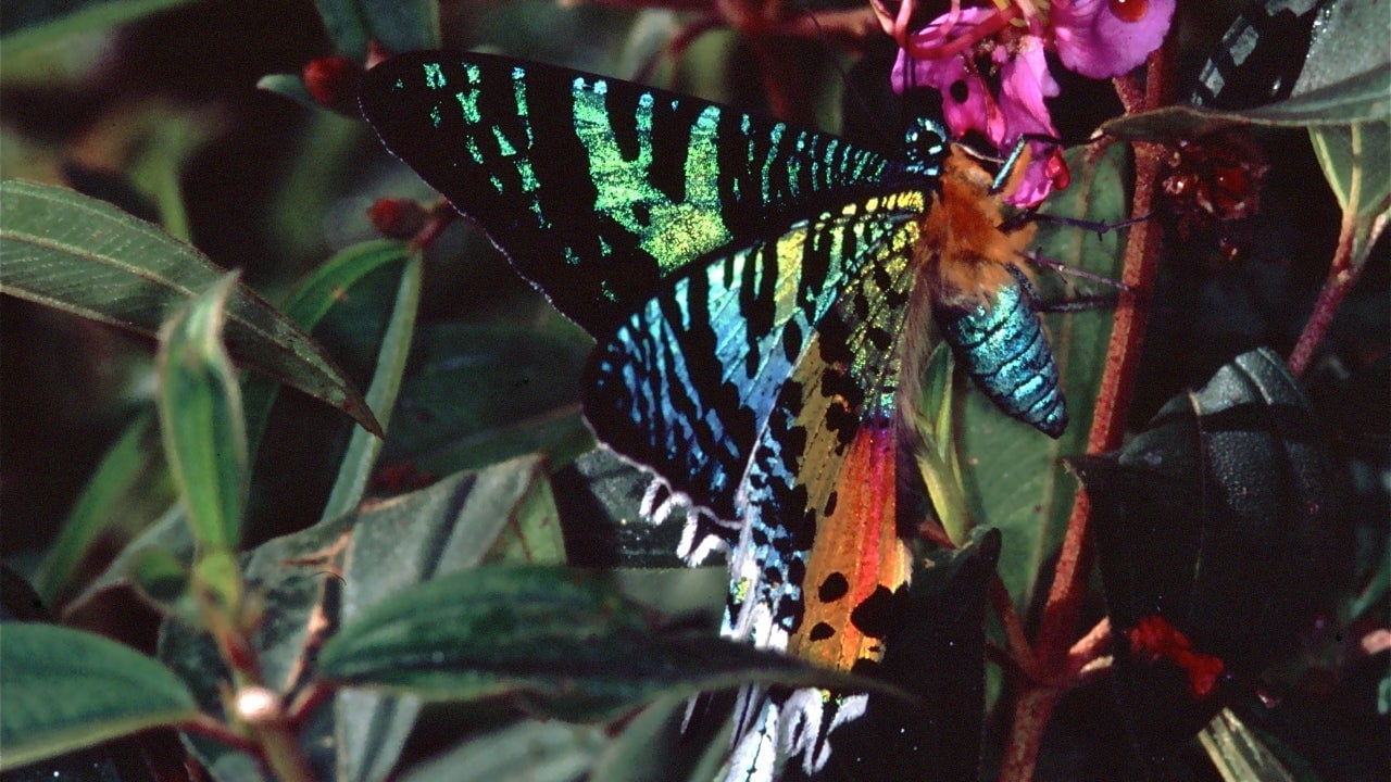 Photo: Bernard Dupont