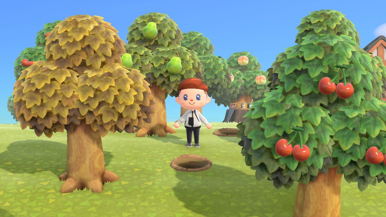 Goodbye, apple trees.