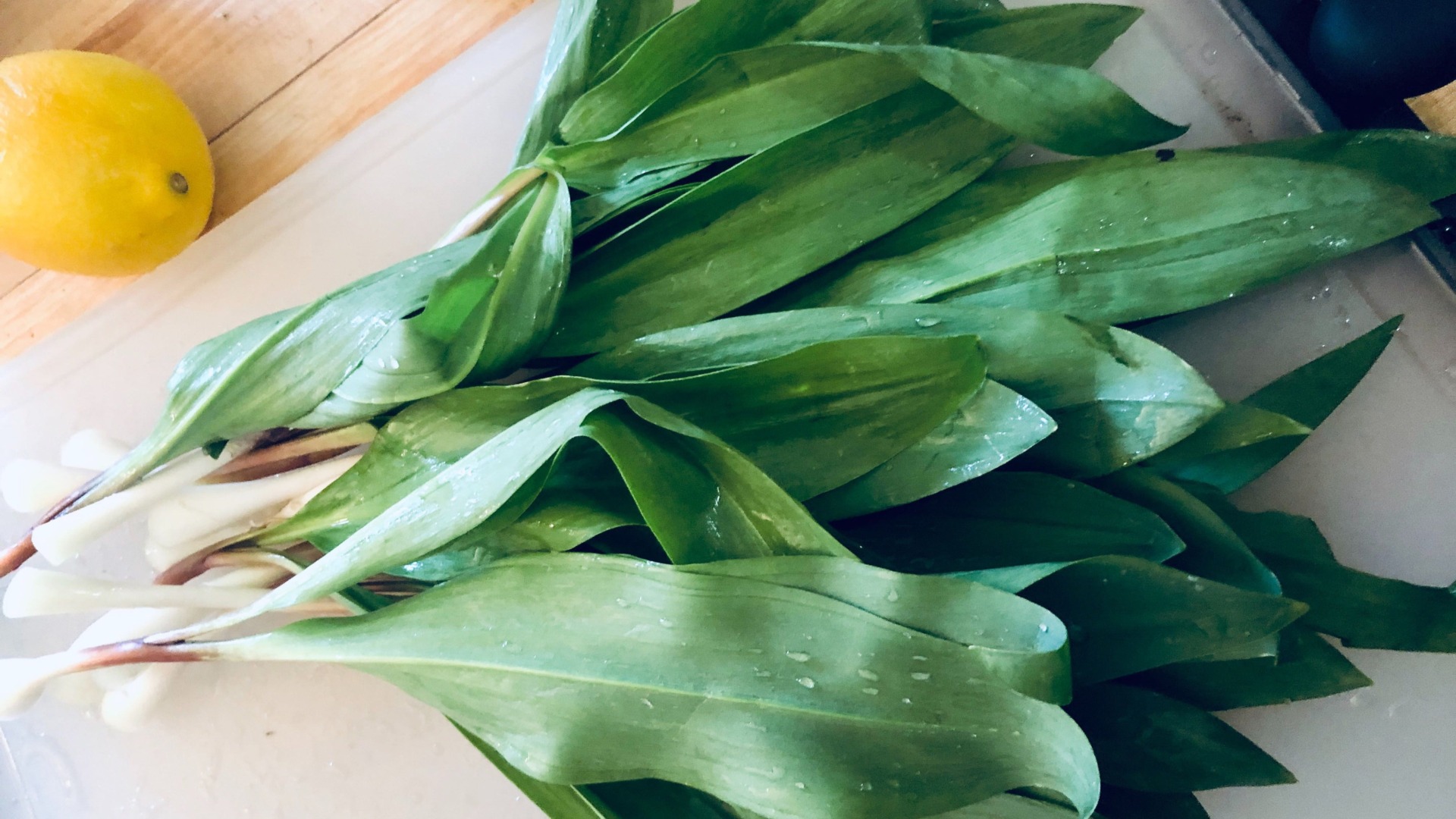 Photo: Riley MacLeod/Kotaku