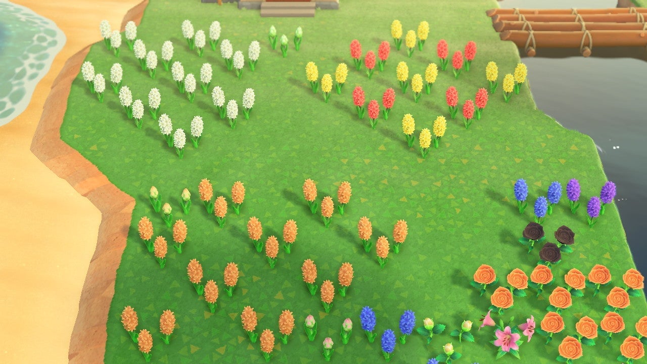 A small portion of the infestation. I probably planted these way too close to Cranston’s house. Sorry buddy!