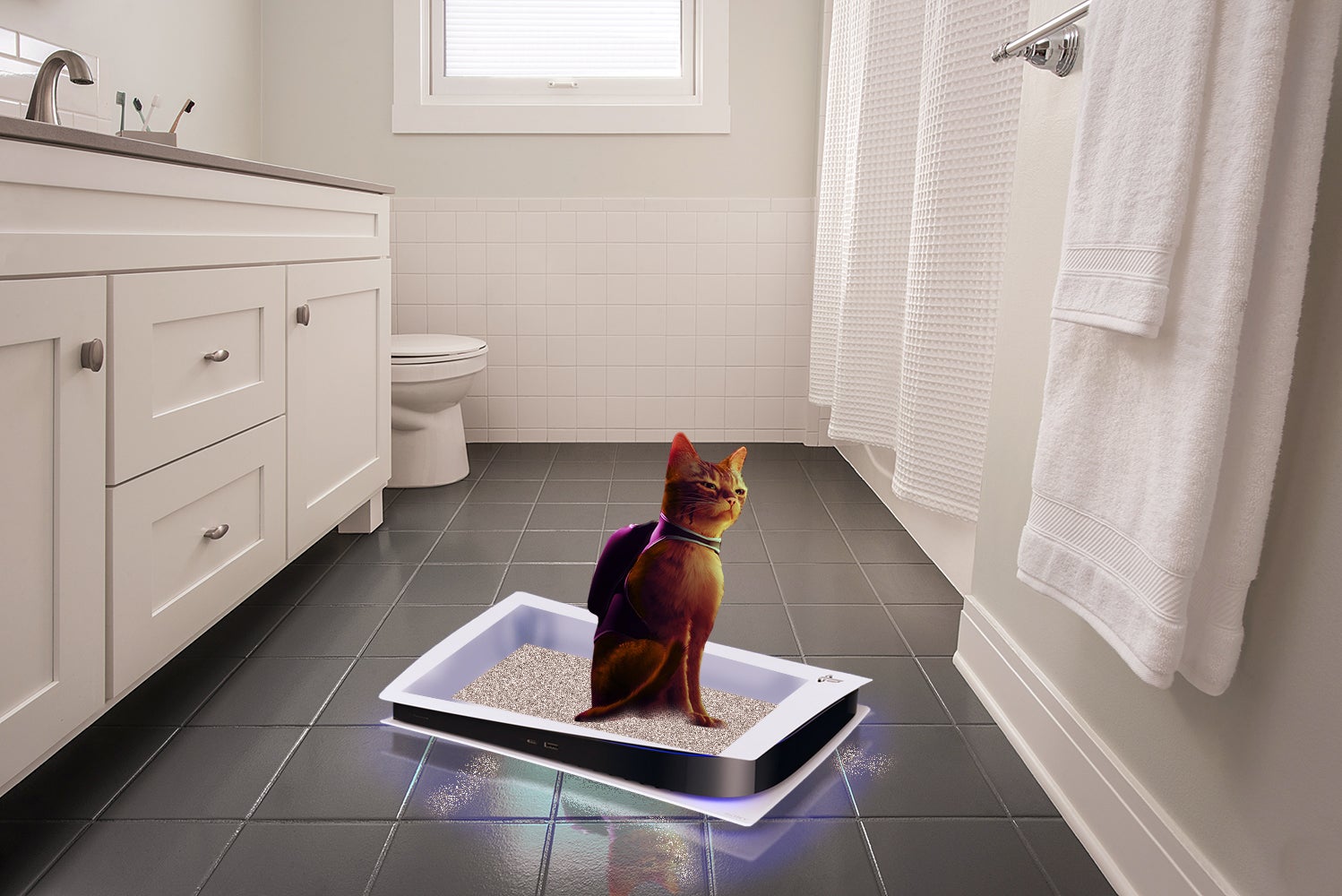 Image: sciteach (PS5 Cat)