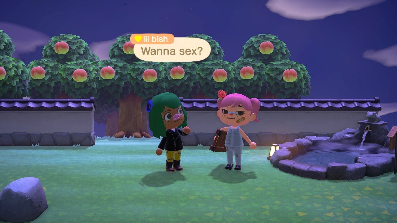 Screenshot: Nintendo