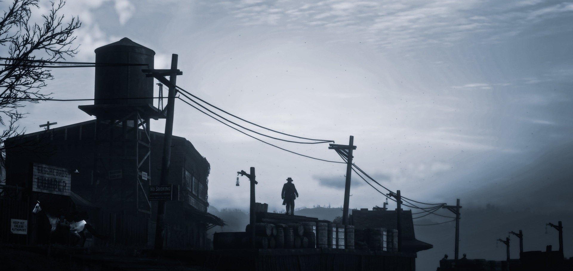 Red Dead Redemption II