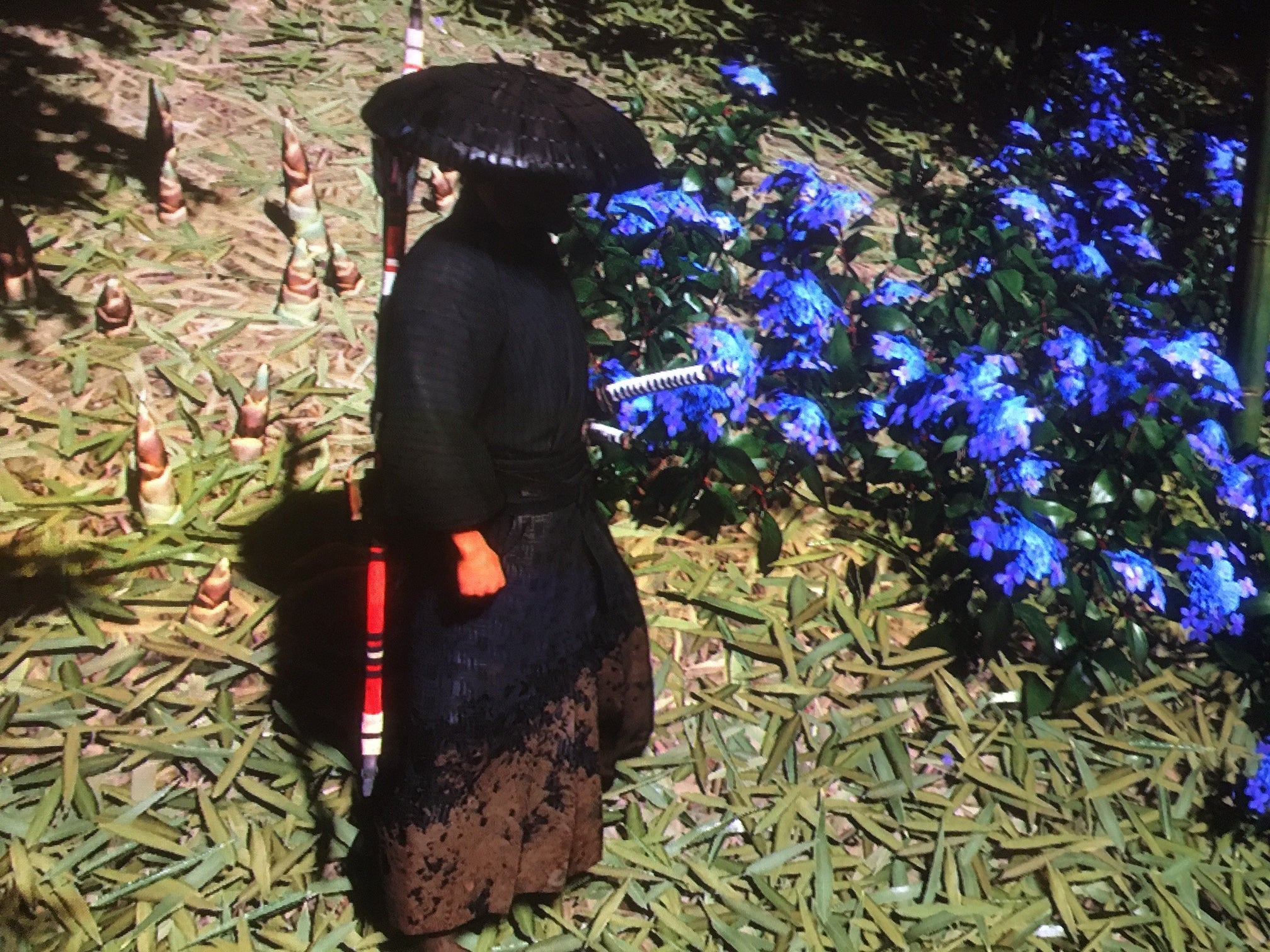 Screenshot: Brian Ashcraft