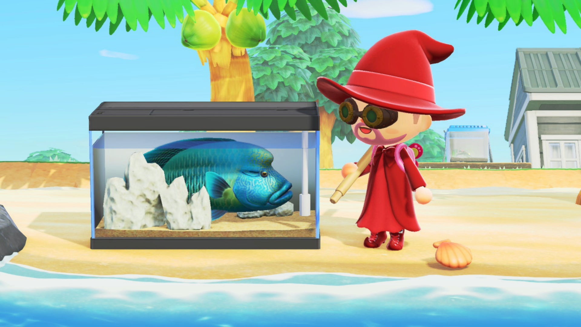 Such a majestic forehead. 