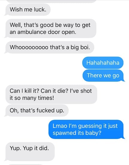 Screenshot: Apple/Kotaku