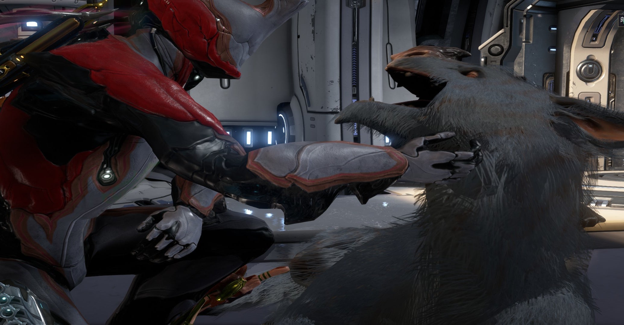 Screenshot: Digital Extremes / Kotaku