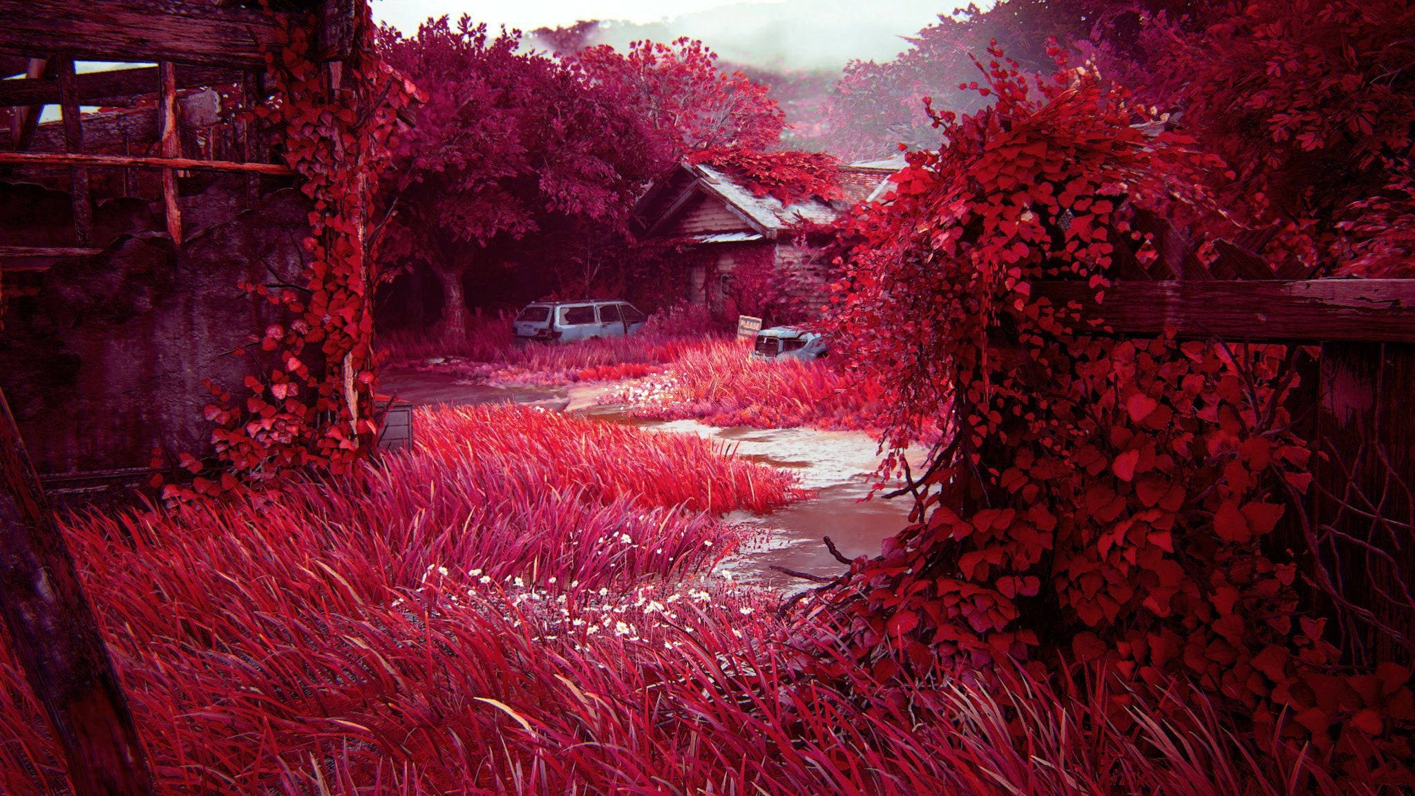 The Last Of Us Part II