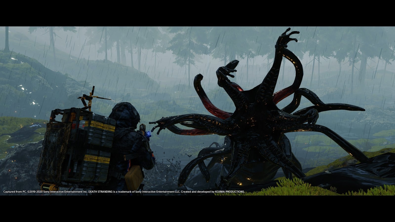 This shot is particularly moving because it is one of the several provided me. 