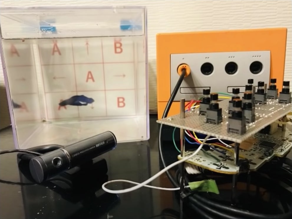 Screenshot: Mutekimaru Channel