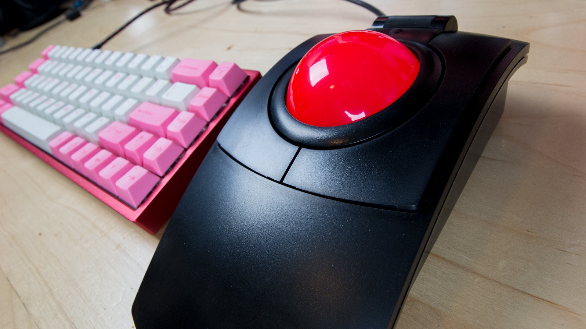 Photo: Michael Fahey