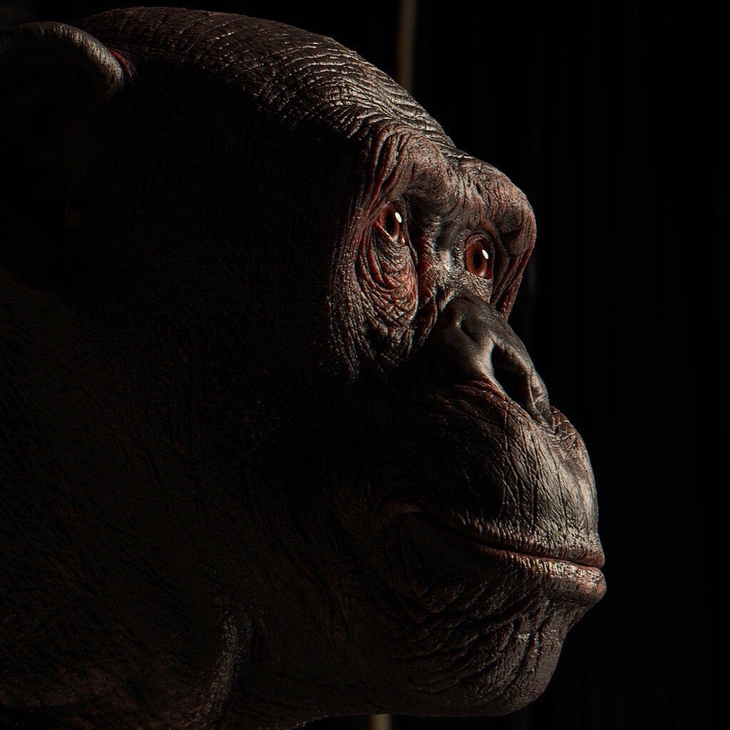 Image: Aldo Martinez