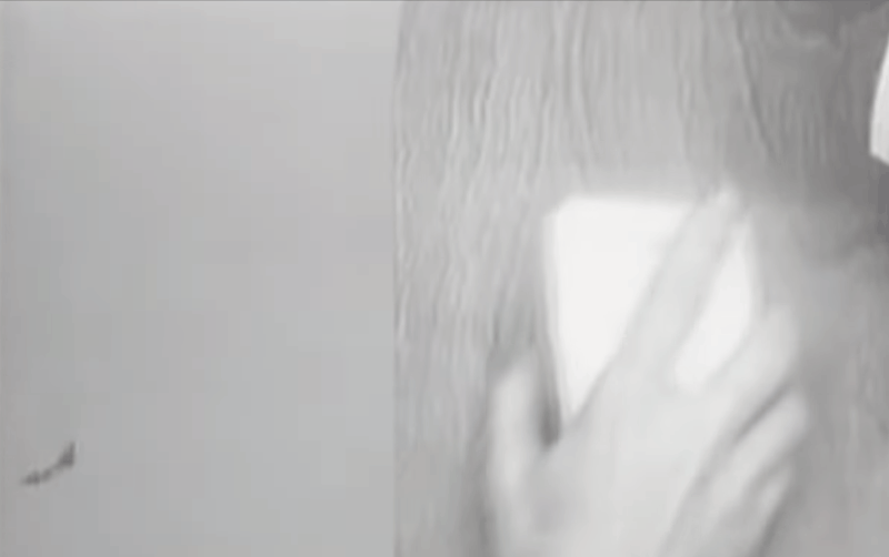 Footage from the very first public demonstration of the mouse, in 1968