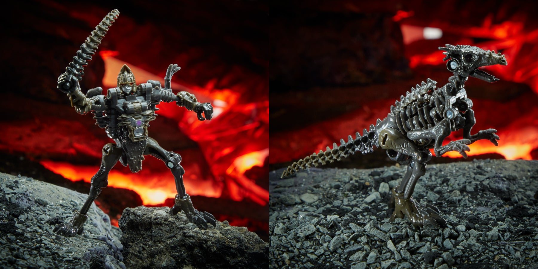 Core class Vertebreak MSRP $9.99