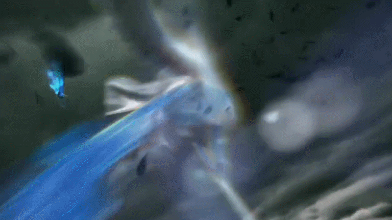 Gif: Square Enix / Visual Works