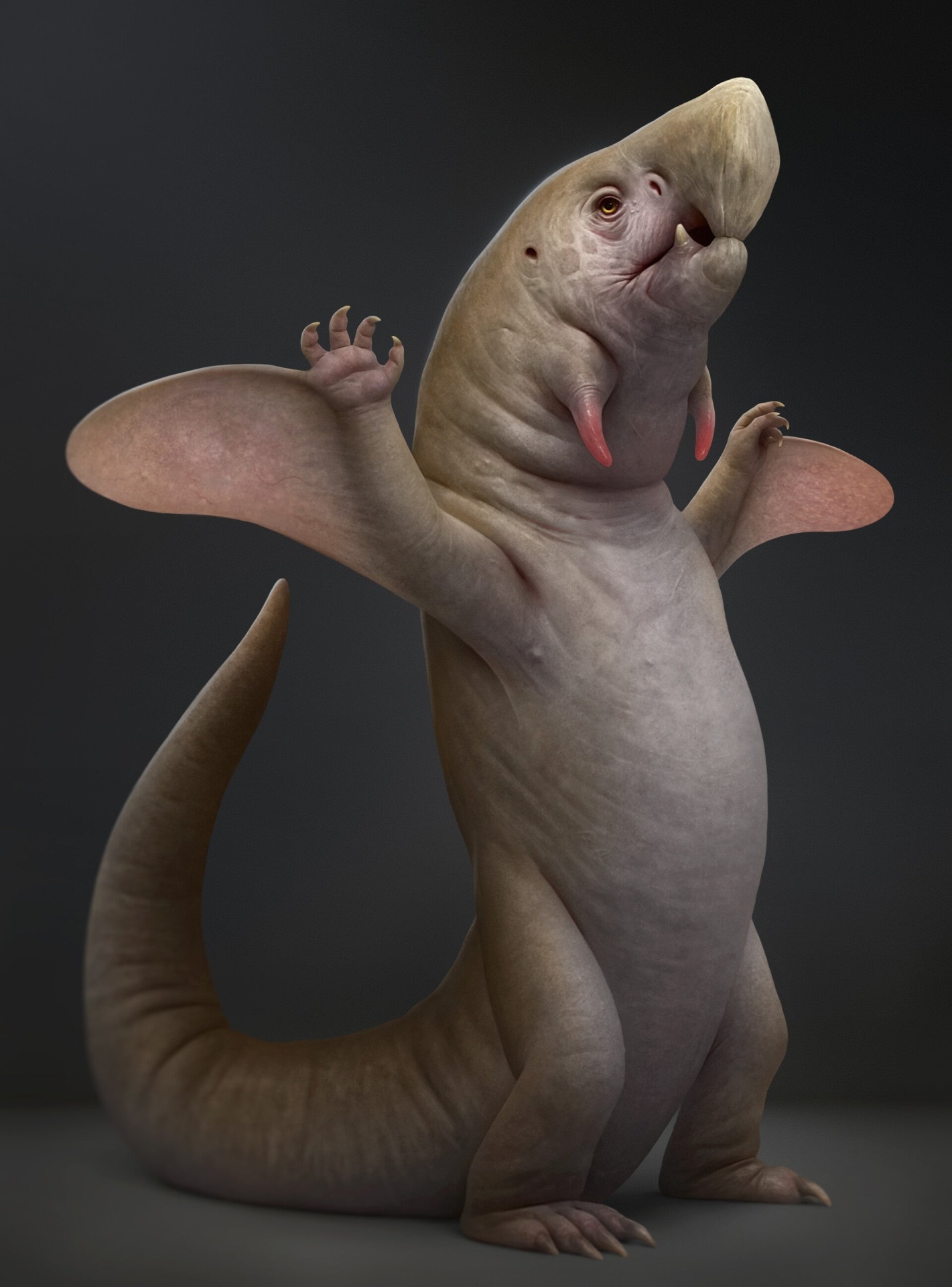 Illustration: Roberto Padula