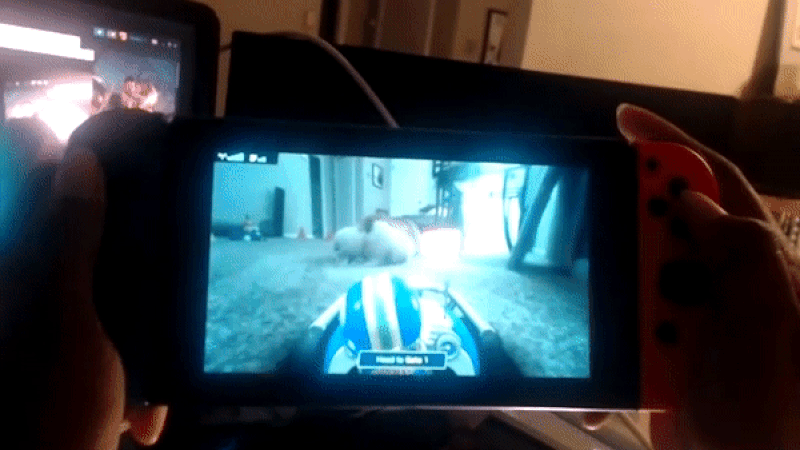 You can see Mario looking back at me judgmentally as I torment my poor dog.