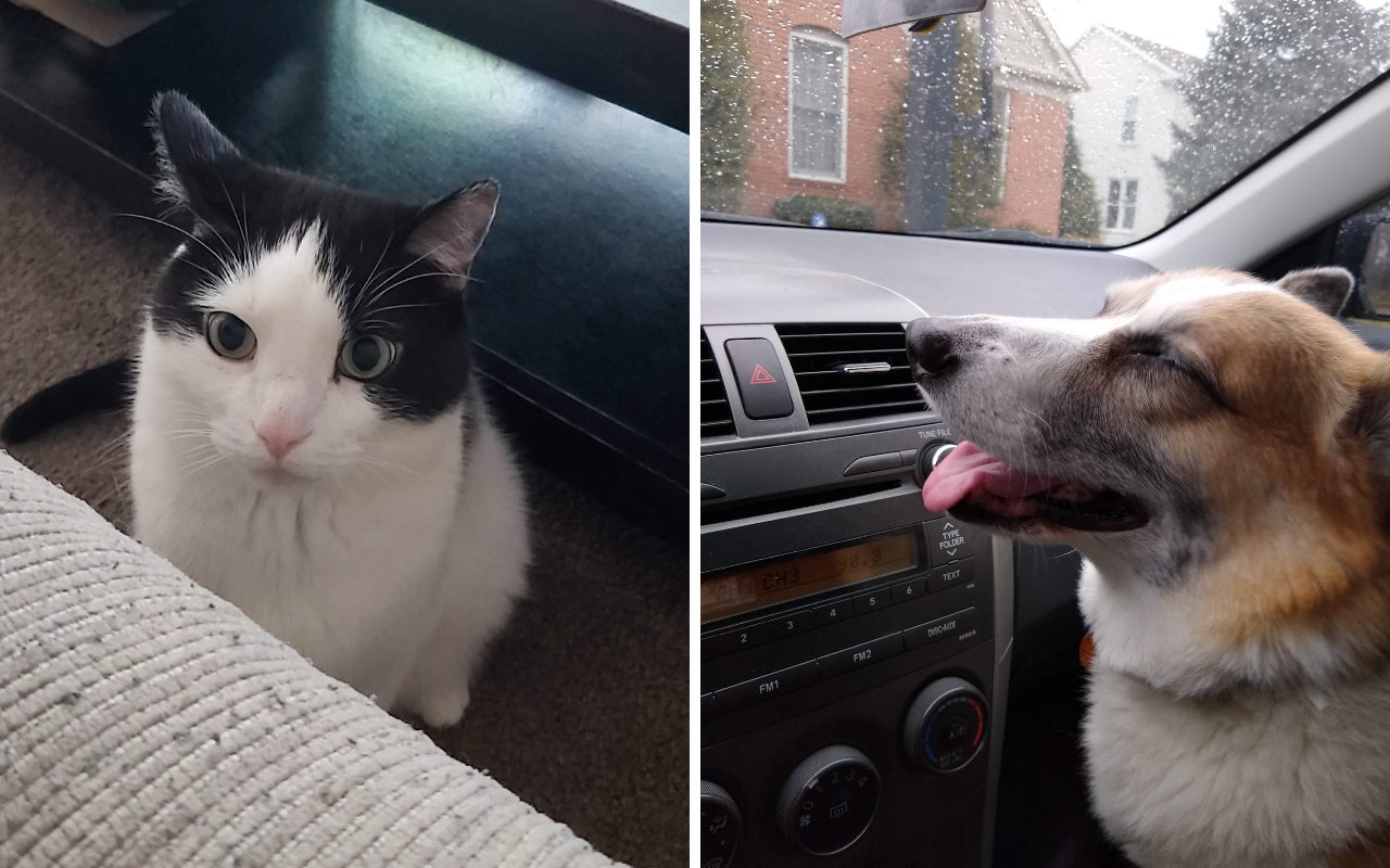 Special thanks to our guest contributors Gus and Ein.