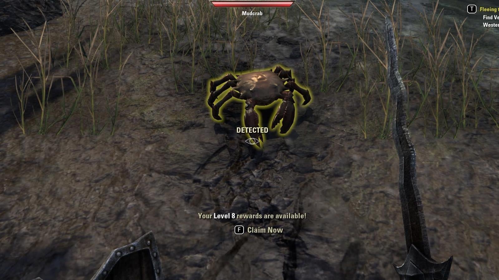 Screenshot: Bethesda / Kotaku