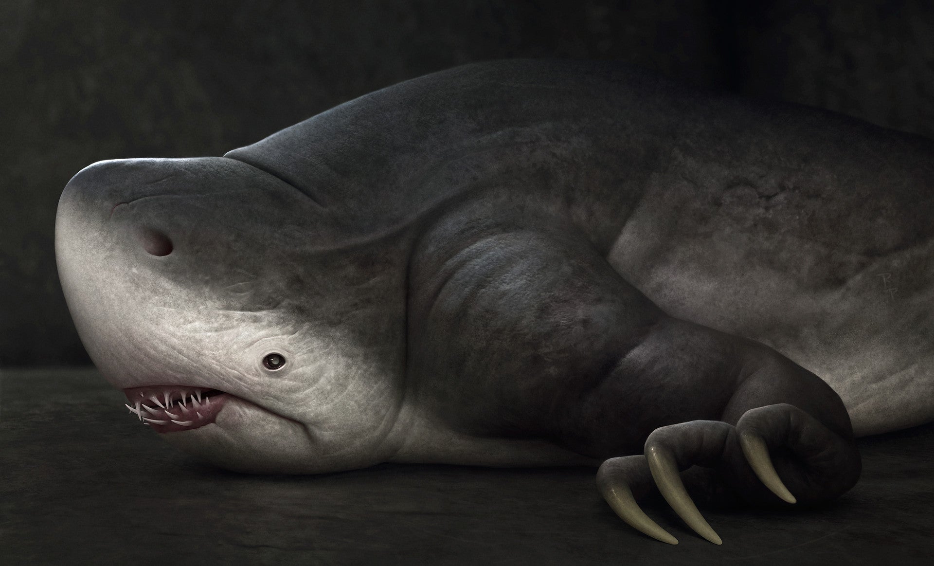 Illustration: Roberto Padula