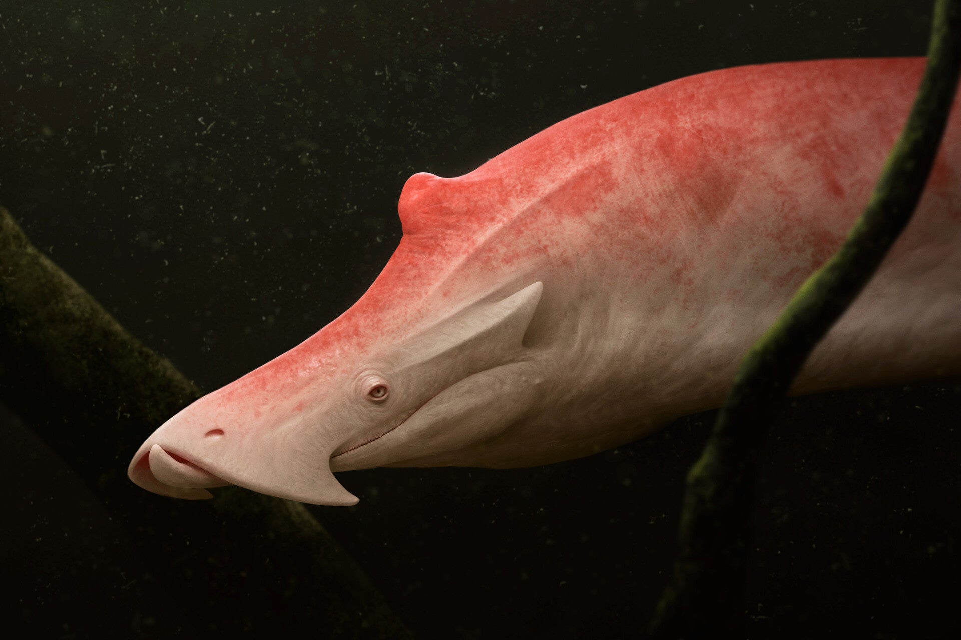 Illustration: Roberto Padula