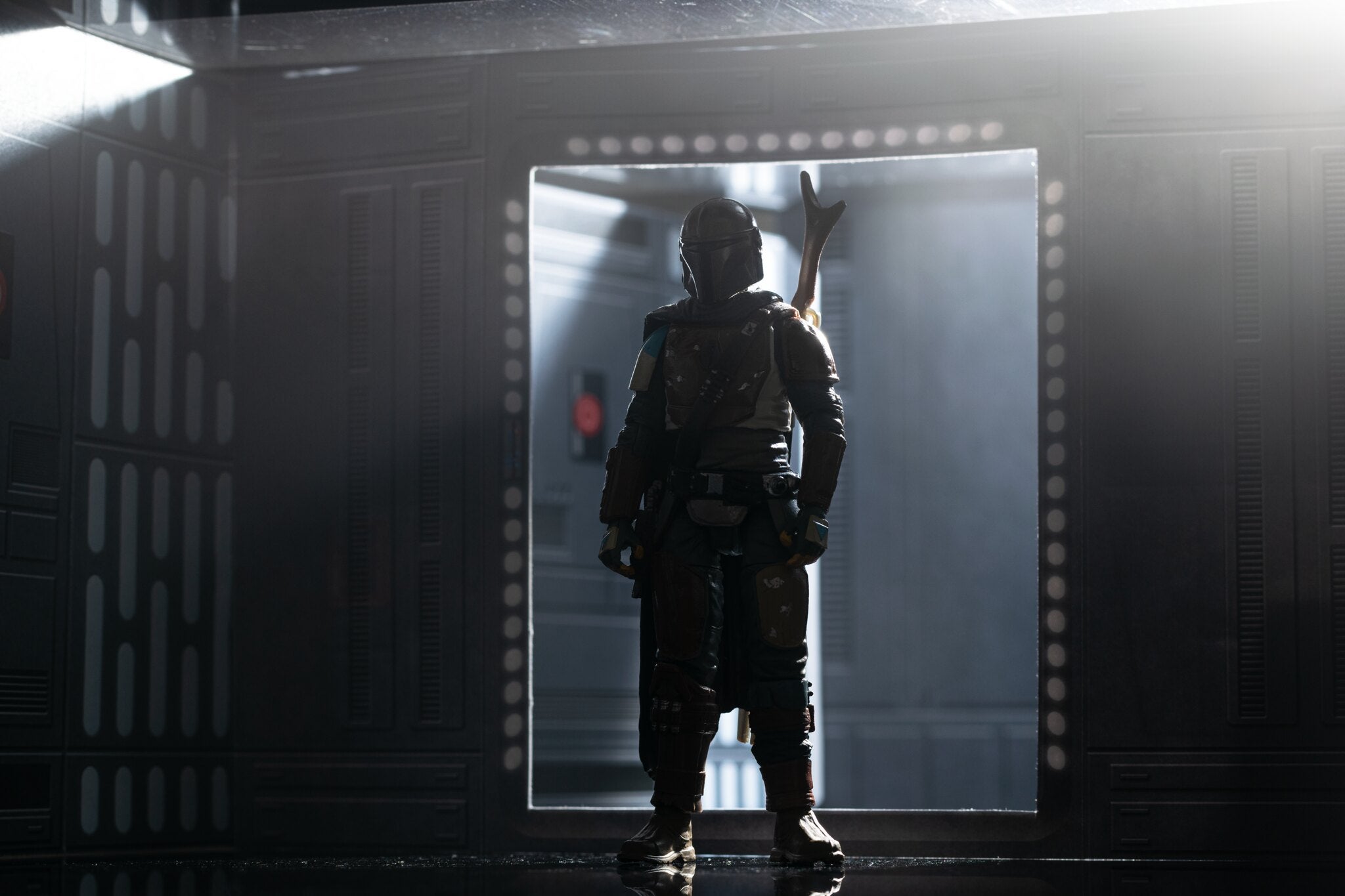 Photo: Matthew Cohen