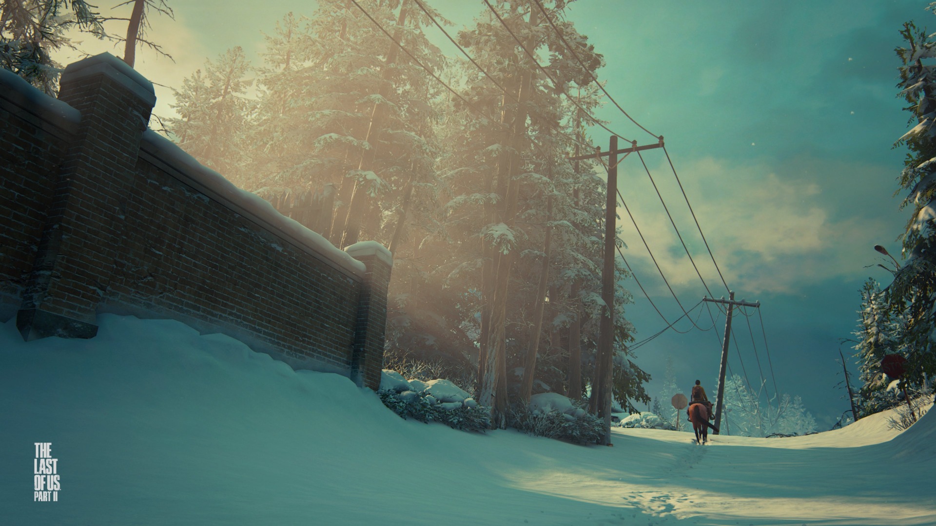 The Last of Us Part II