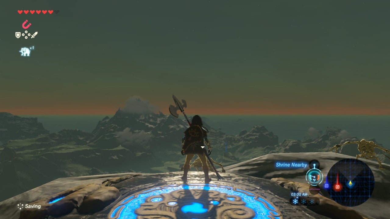 Screenshot: nintendo