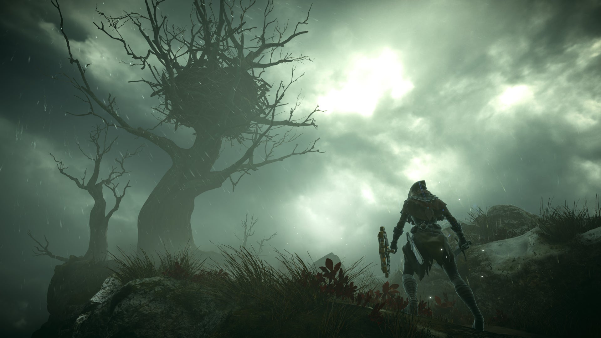 Crows are rad, Sparkly the Crow most of all.