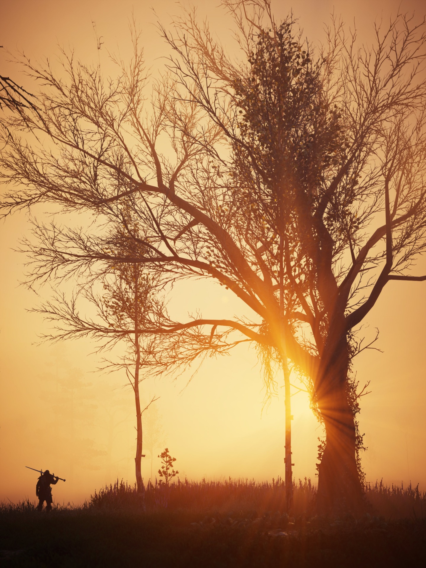 Screenshot: Andy Cull