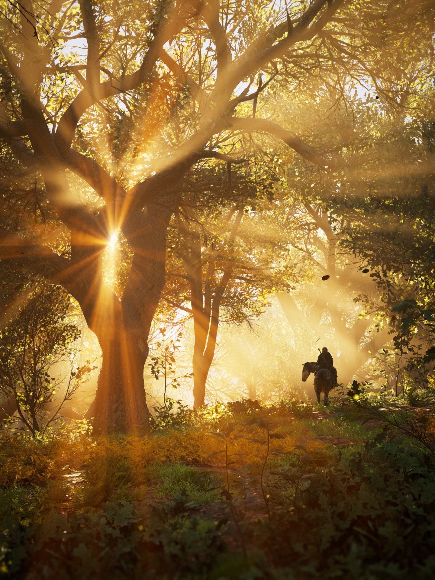 Screenshot: Andy Cull