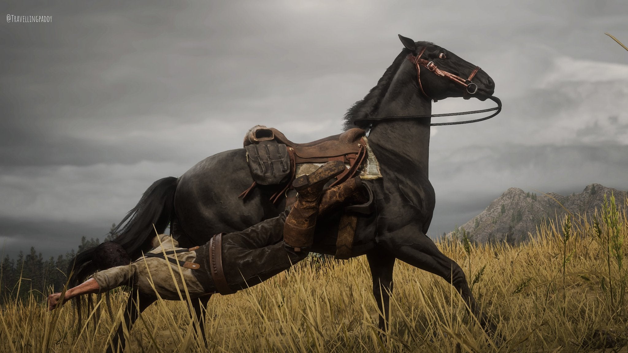 Red Dead Redemption II