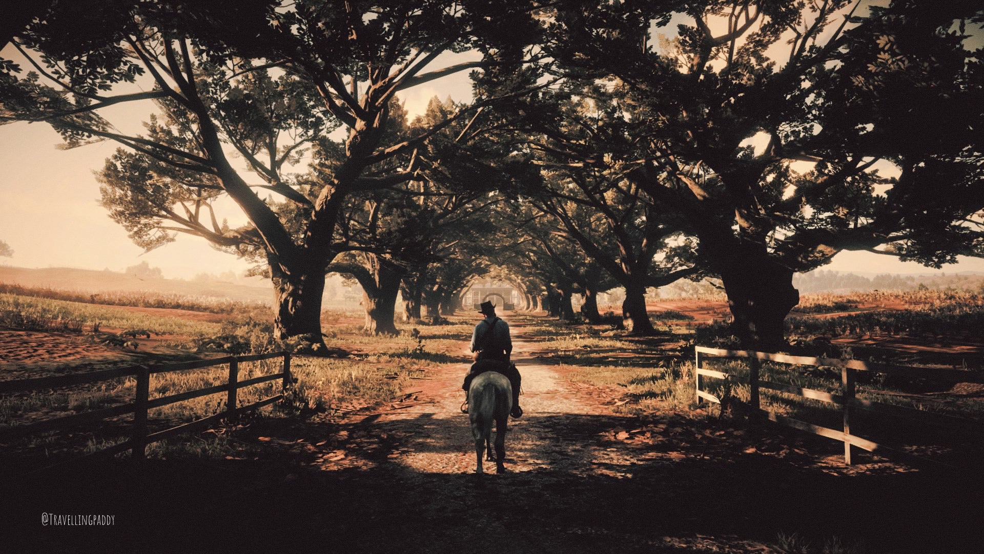 Red Dead Redemption II