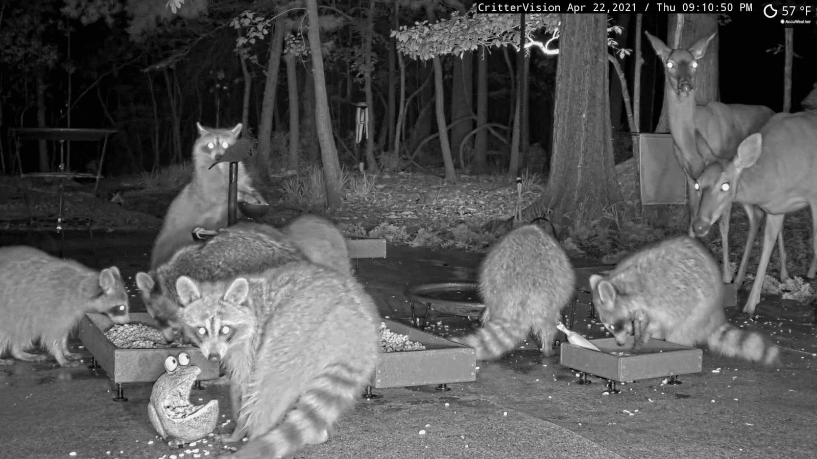 They aren’t up to no good, but they seem like they’re up to no good. 