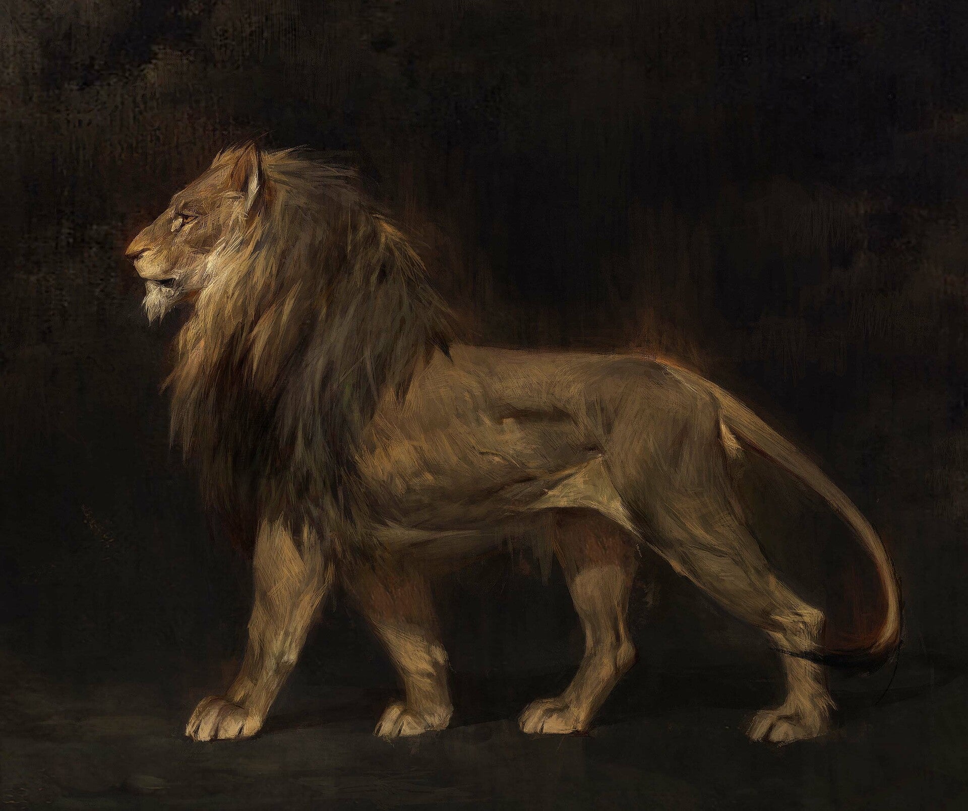 Illustration: Betty Jiang