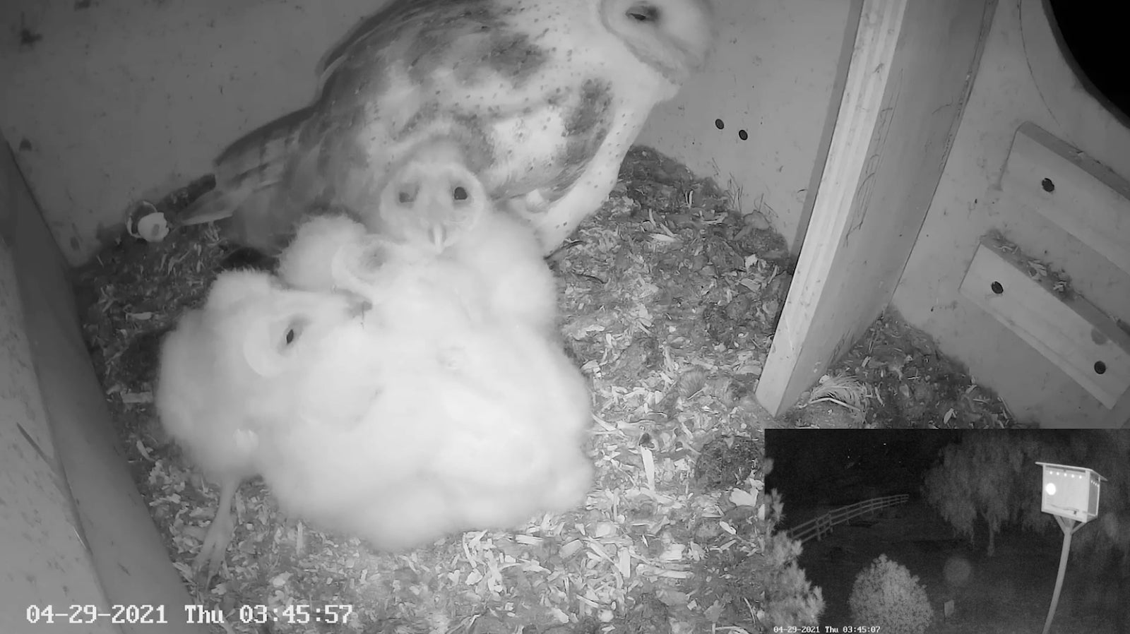 The babies get more tolerable every day! 