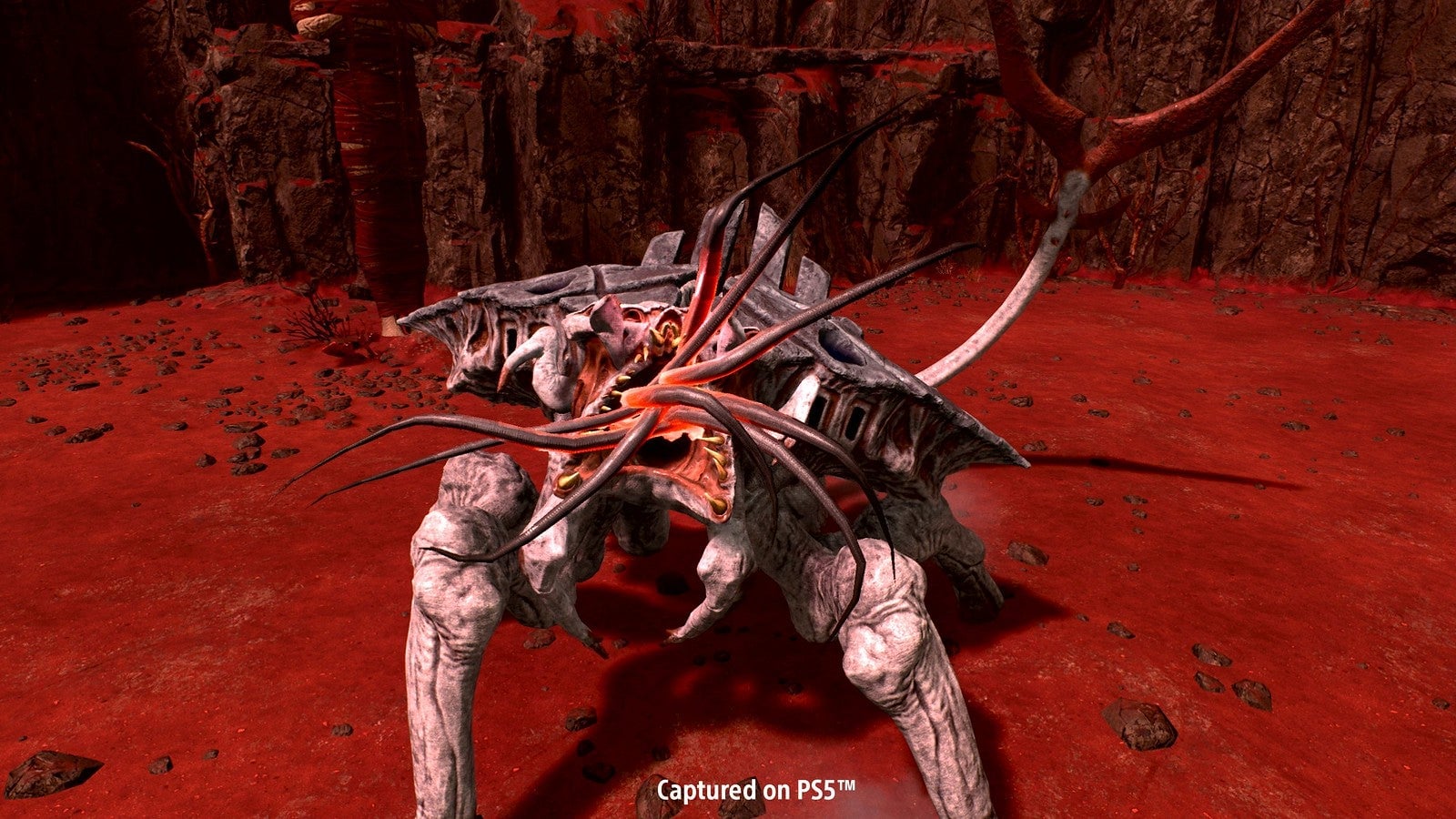 Screenshot: Housemarque / Sony