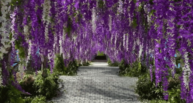 Gif: 大塚製薬 公式チャンネル@YouTube