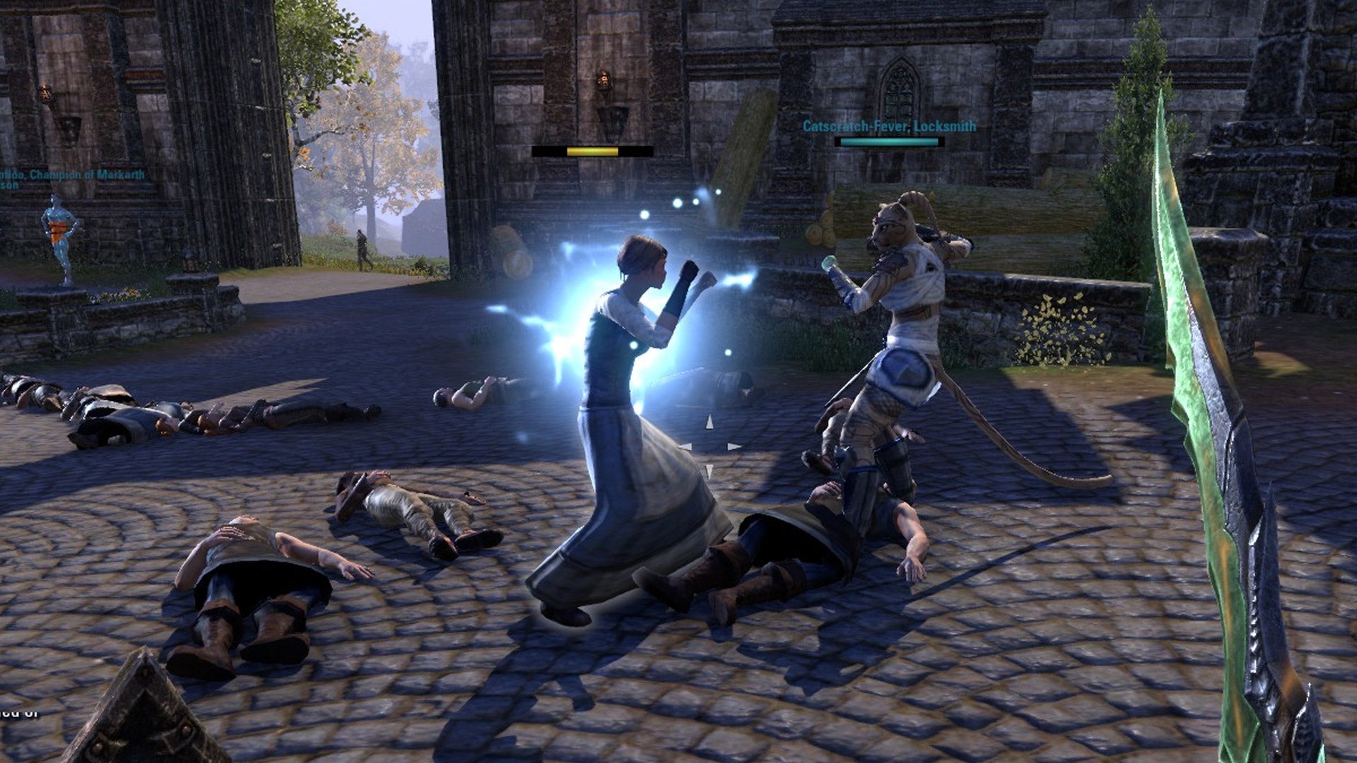 Maintaining a penis in ESO takes a lot of killing...